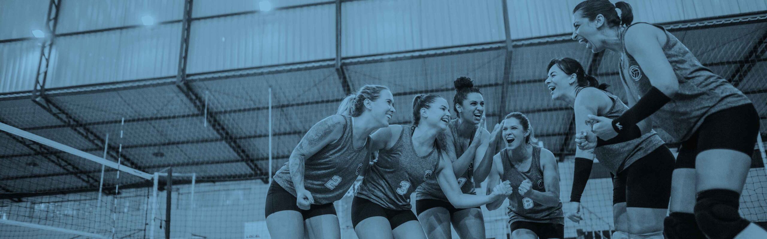 Corporate Sports – Volleyball